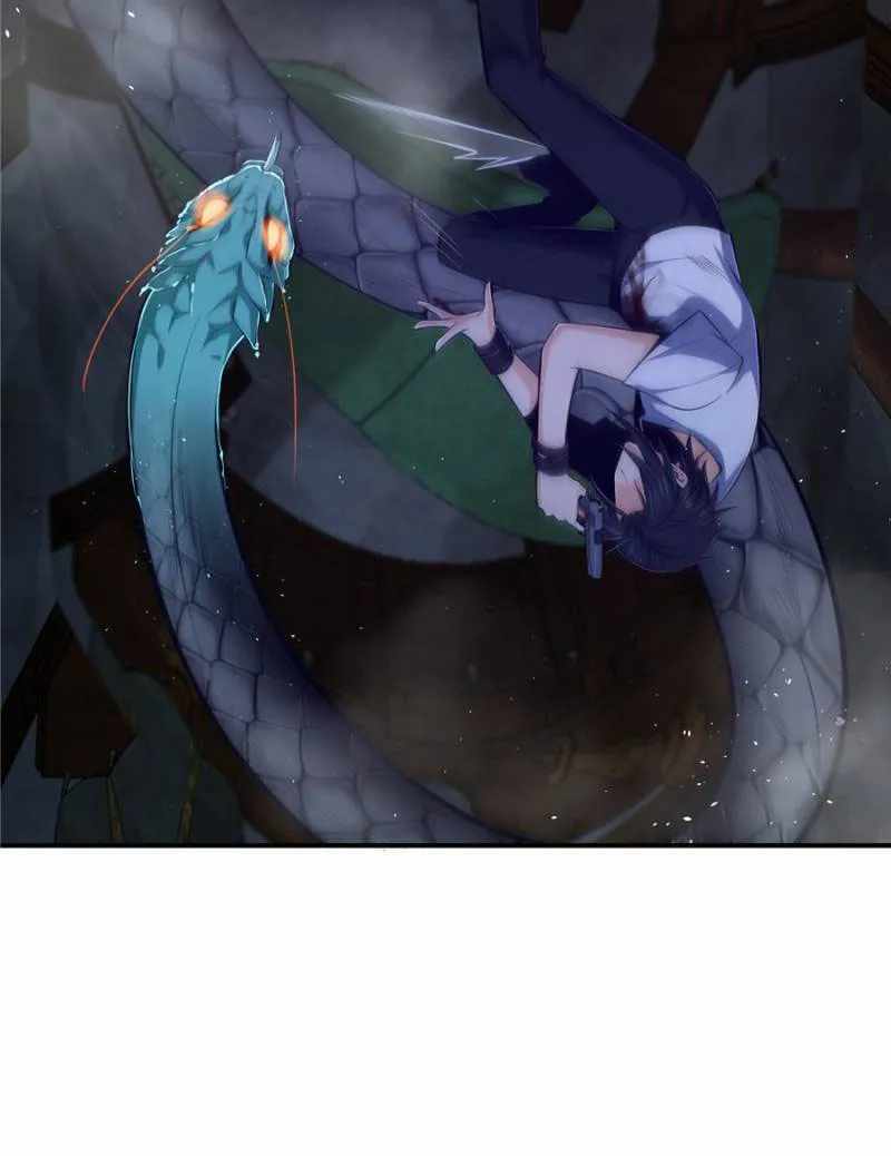 Another beginning with the Guhuo bird Chapter 27 69