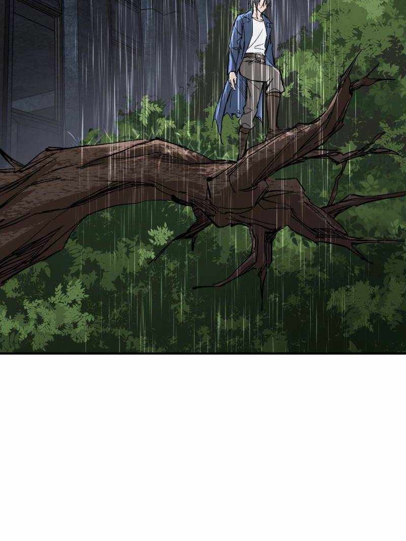 Another beginning with the Guhuo bird Chapter 271 43