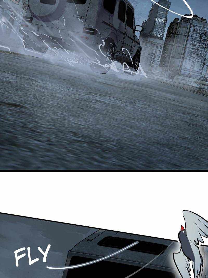 Another beginning with the Guhuo bird Chapter 274 81