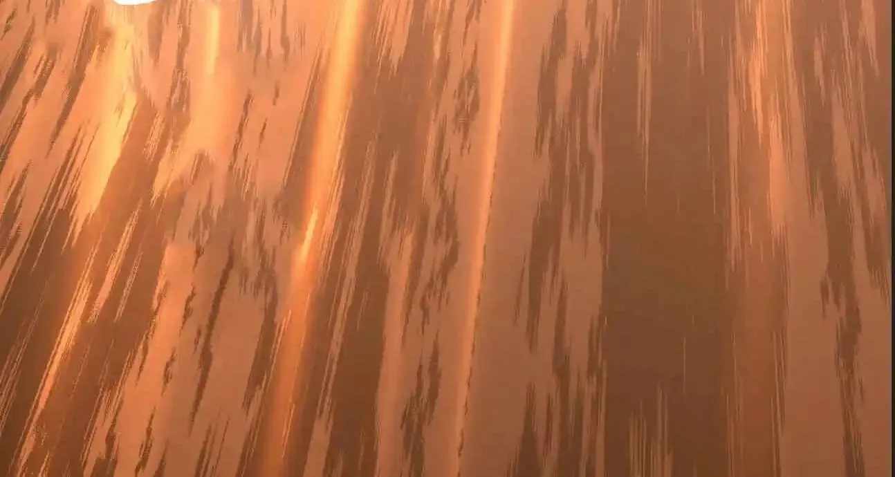 Logging 10,000 Years into the Future Chapter 329 30
