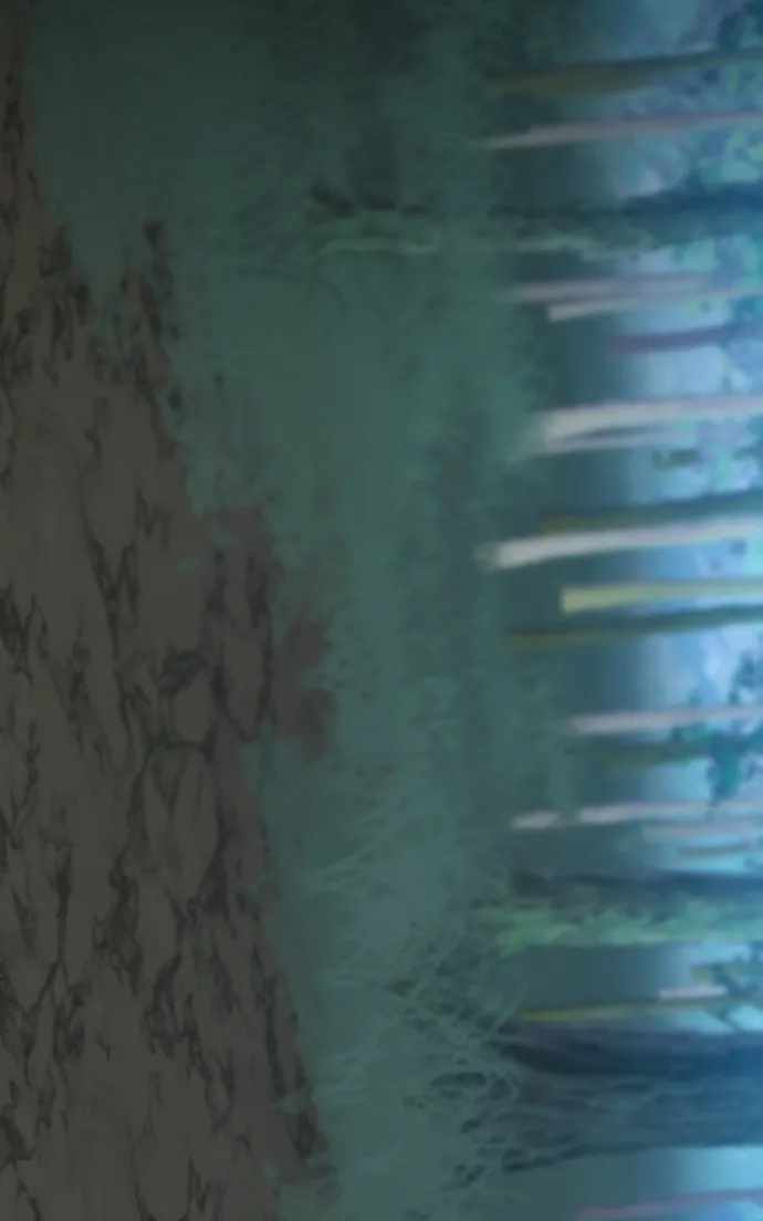 Primal Hunter Chapter 102 13