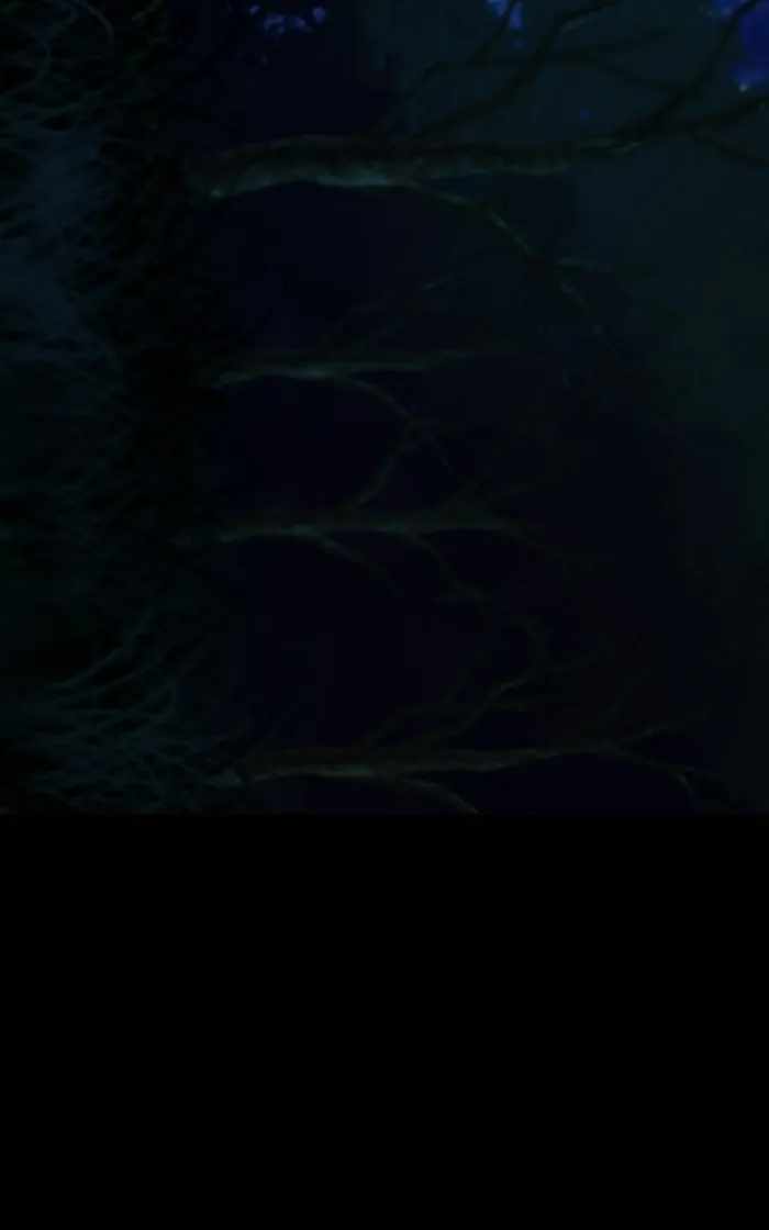 Primal Hunter Chapter 105 124
