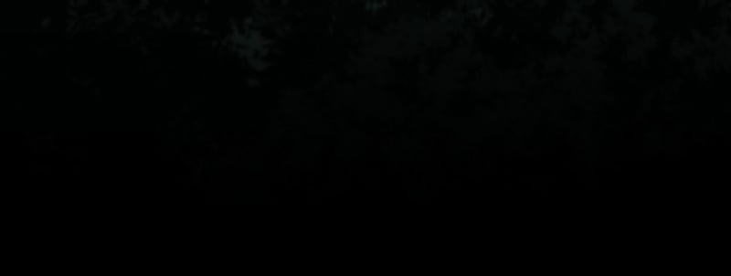 Primal Hunter Chapter 73 167