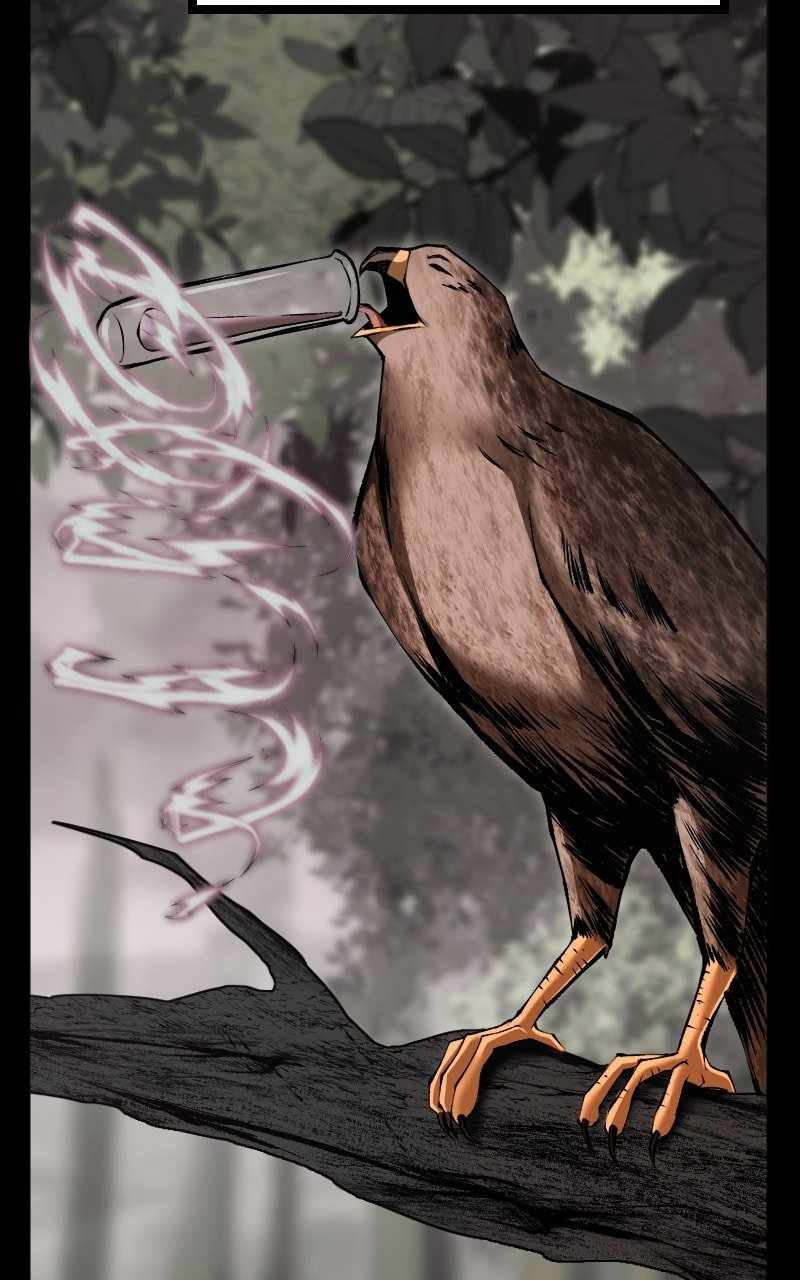Primal Hunter Chapter 78 11